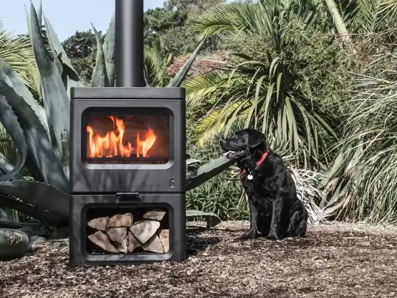 Le labrador Rona devenu emblème de Charnwood